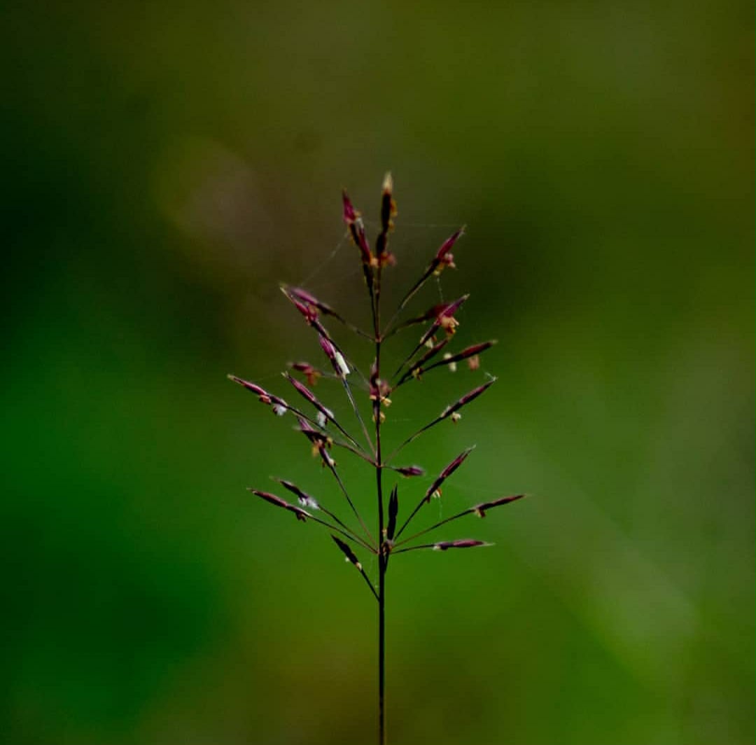 theadventureaperture #11